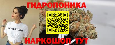 ALPHA PVP Канаш