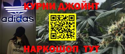 индика Кинель