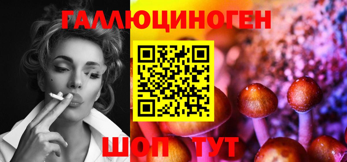 Псилоцибиновые грибы Magic Shrooms  Псилоцибиновые грибы GOLDEN TEACHER  Вход с VPN  Кувандык 